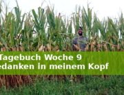 Jakobsweg-Tagebuch Woche 9 Wanderveg